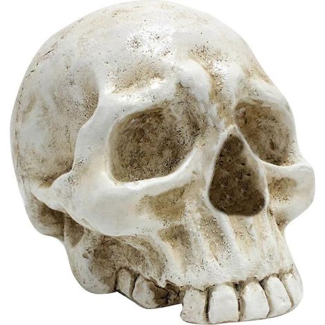 Schädeldekoration, Totenkopfmodell aus Kunstharz zum Tag der Toten