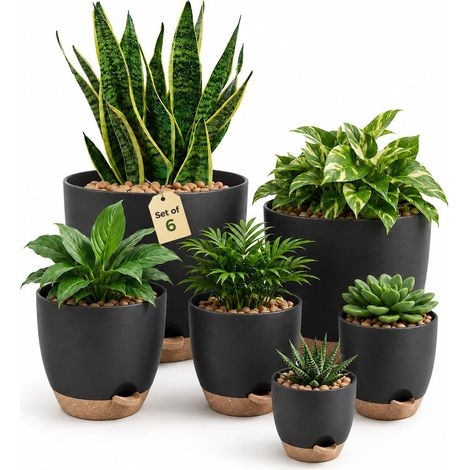 Pot de Plantes d'Intérieur avec Drainage 6 Pcs Pots en Plastique Auto-irrigants 12.7cm/14cm/15.2cm/16.5cm/17.8cm/20.3cm pour Plantes d'Intérieur, Fleurs, Cactus (1/5)