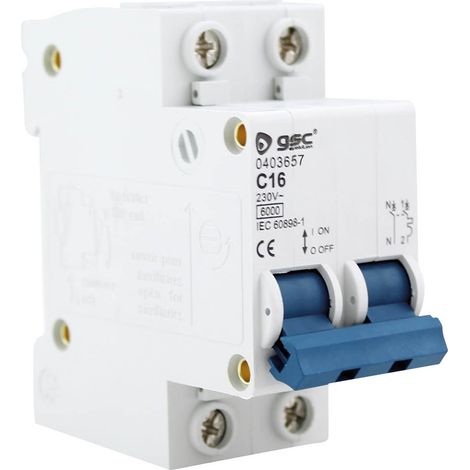 Interruptor automático 2P 63A GSC 0403662 (1/2)