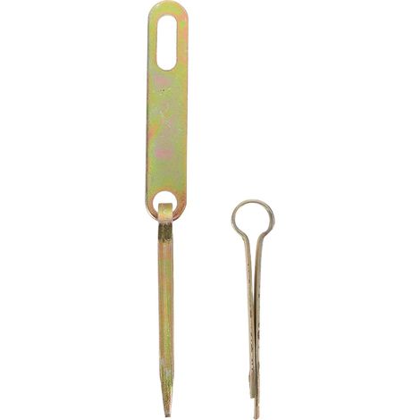 Loquet de Porte Métallique Ancien Renforcé (1/5)