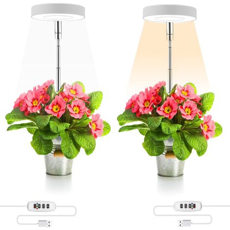 Lampe horticole à brancher au sol, à intensité variable et programmable, imitation lumière du soleil, pour pots de plantes succulentes. (1/2)