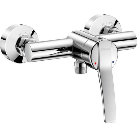 Delabie Douche-EHM SECURITHERM EP, levier de commande, raccord S, STOP/VERIF