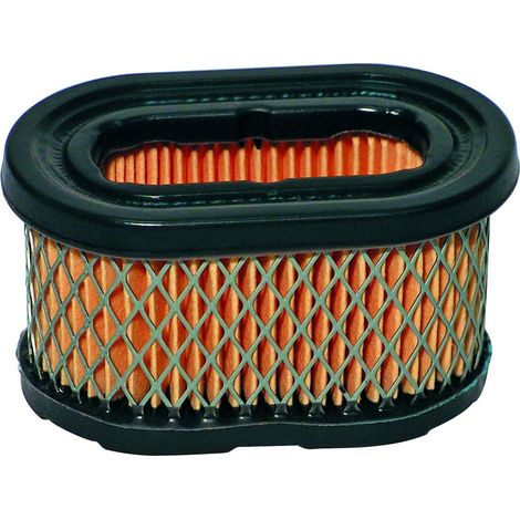 Filtre à air Briggs & Stratton 494586, 497725 (1/2)
