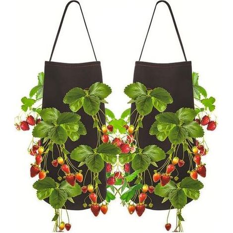 Stück Pflanzbeutel für Erdbeeren, Kartoffeln und Gemüse mit Sichtfenster und Griff für Erdbeeren, Tomaten und anderes Gemüse (1/5)