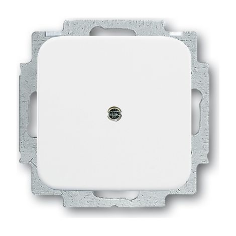 Placa de acabado Busch-Jaeger 2538-214 modular montaje con tornillos IP20