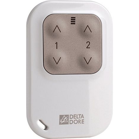 Mando delta dore Tyxia 1400 blanco compacto 2 canales