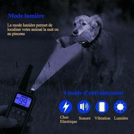 Collier dressage chien rechargeable IP67 – Portée 800 m, 99 niveaux de vibration – Système multi‑chiens, mode sonore étanche