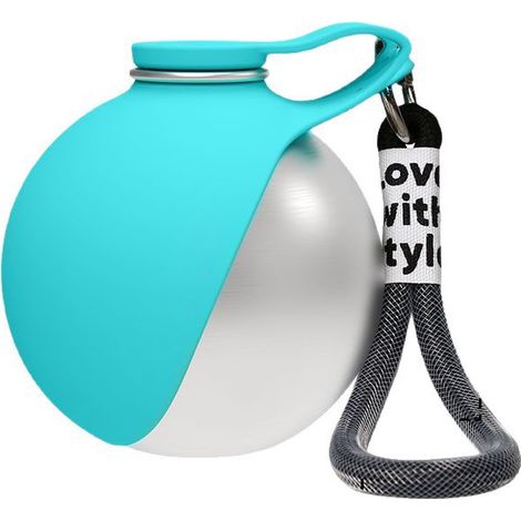 Gourde portable en acier inoxydable pour chats et chiens — Gourde de voyage étanche (Gamelle intégrée) (1/5)