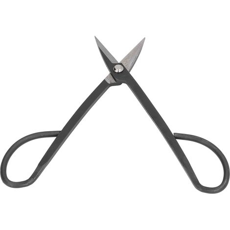 200-mm-Blumenschere, Knospenschere, Schneide- und Asttrennwerkzeug, Blattschneider (1/5)