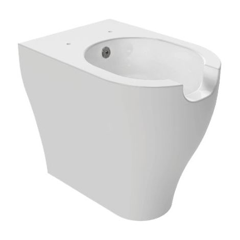 Wc con Bidet integrato App Flaminia Filomuro Disabili 54x36x H48