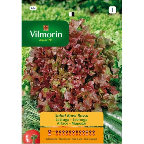 Bol rouge Vilmorin S-1 944 944 (H.roble), 7 gr
