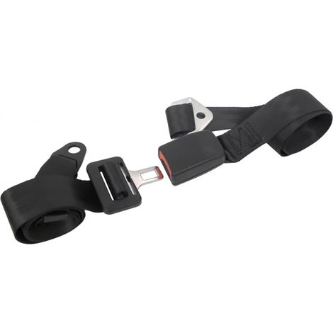 Cinturón de seguridad de 2 puntos ajustable en 2 lados negro Carpoint (1/2)