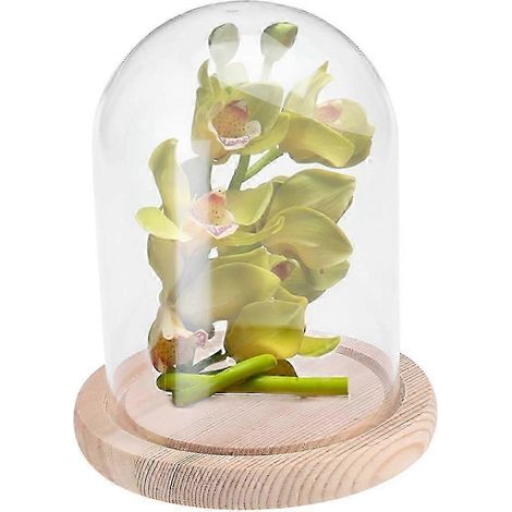 Dôme en verre transparent 9x12cm Micro Landscape Eternal Flower fait main anti-poussière sur socle en bois pour PC Saint-Valentin (1/4)