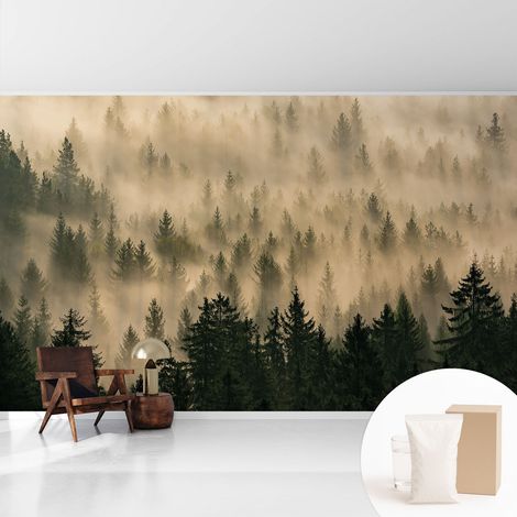 Papier peint intissé mural avec colle pour salon et chambre Décoration murale rapide - Colle incluse gratuite Brume forestière 416x254 cm (1/5)