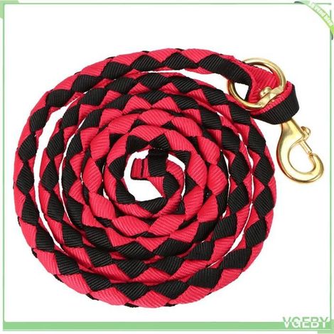 Corde de guidage pour cheval - FAFEICY - Corde tressée - PP résistant - Bouton-pression laiton 4,6 pouces - 2/2,5/3 m (1/5)