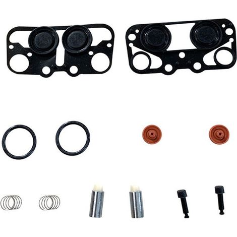 Kits de reparación de pulsadores eléctricos LE20, piezas de revestimiento interior para máquinas de ordeño y ganado. (1/4)