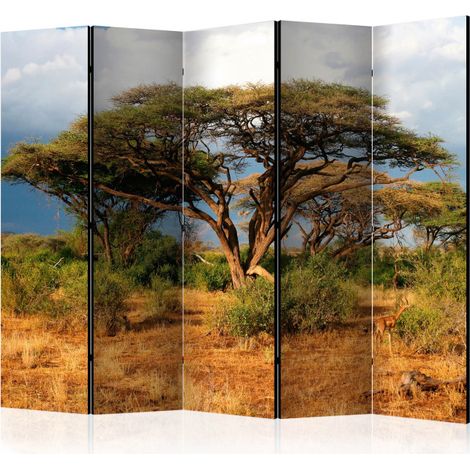 Paravent 5 Volets "Samburu National Reserve, Kenya" 172x225cm (1/2)