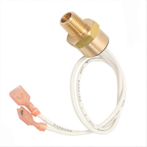 R0592300 pour chauffe-eau JandyJXi JXi200N JXi200NK JXi200P, capteur de température d'eau en cas de température excessive (1/5)