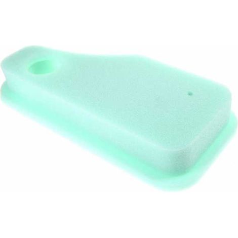 Filtre à air pour moteur Briggs & Stratton 270528 (1/5)