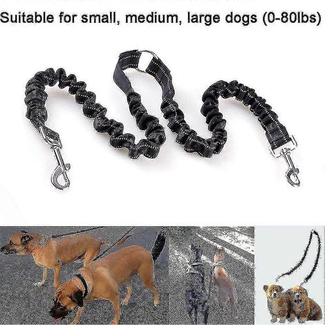 Laisse double élastique pour chien, anti-nœuds, avec séparateur pour promener deux chiens de petite et moyenne taille (Aikeco). (1/5)