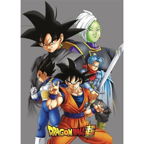 Plaid polaire Dragon Ball Z - Tous les personnages - Gris (1/2)