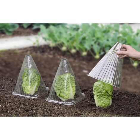 Ensemble de 6 housses de protection pour plants (1/2)