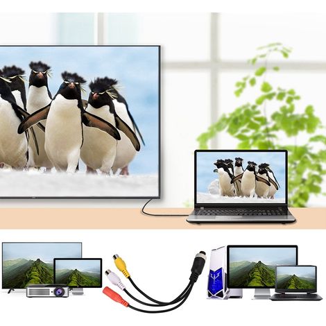 Câble de prolongation pour caméra de recul, connecteur femelle AV et DC pour moniteur auto (1/5)
