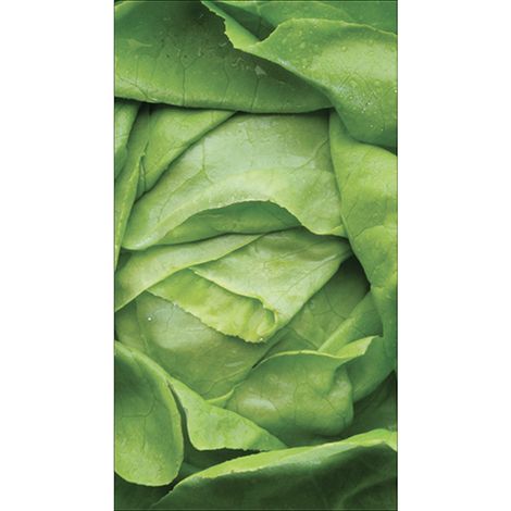 Sticker réfrigérateur et lave vaisselle, laitue verte croquant frais alimentation saine déco, 180 cm X 100 cm (1/4)