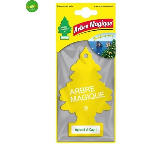 Deodorante per auto Lubex Arbre magique Agrumi di Capri (1/3)