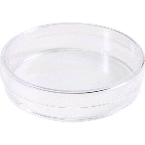 Boîte de Pétri Stériles avec Couvercles Plaque de Culture Bactérienne 55 x 15 mm Lot de 10
