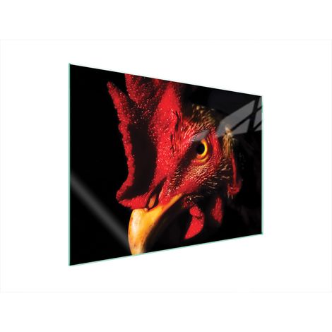 GLASSCHUTZPLATTE FÜR HERD 70x52 HAHN (1/5)
