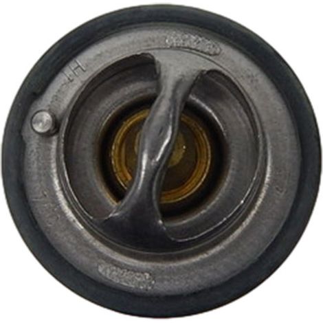 Compatible with Jinbei and Great Wall Motors thermostat B48GA-76-M100 (1/3)