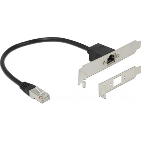 Delock Cable de extensiÃ³n de red RJ45 Cat.5e 30 cm con soporte de ranura de perfil estÃ¡ndar y bajo