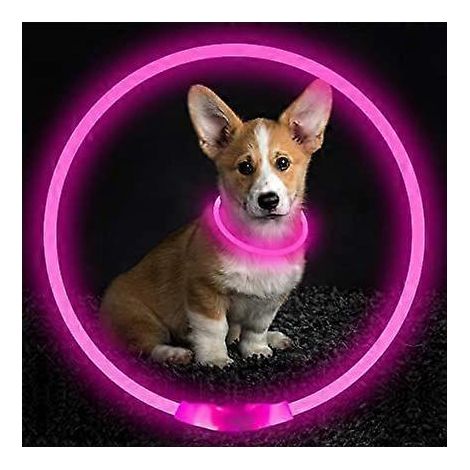 Collier lumineux LED rose pour chien, rechargeable par USB, pour la sécurité de votre animal de compagnie : permet de voir votre chien la nuit (petits, moyens et grands chiens). (1/5)