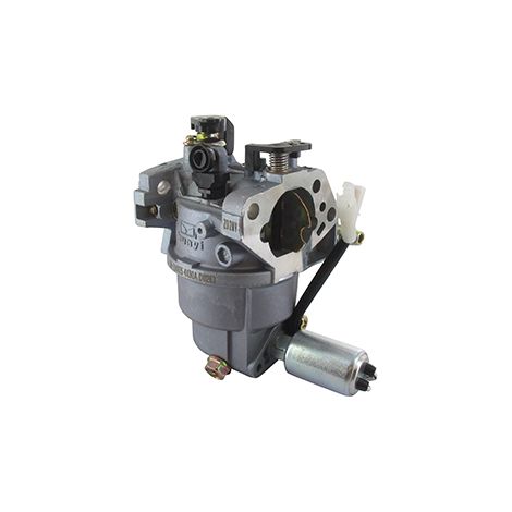 Carburateur MTD 793-00170