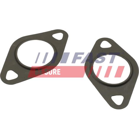 FT50608 Schnell-EGR-Ventildichtung (1/2)