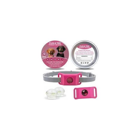 Collare antiparassitario naturale AqualityPets per cani, protegge da pulci, zecche e flebotomi, protezione per 12 mesi – Resistente all'acqua, taglia unica, 100% senza sostanze chimiche (rosa) (1/5)