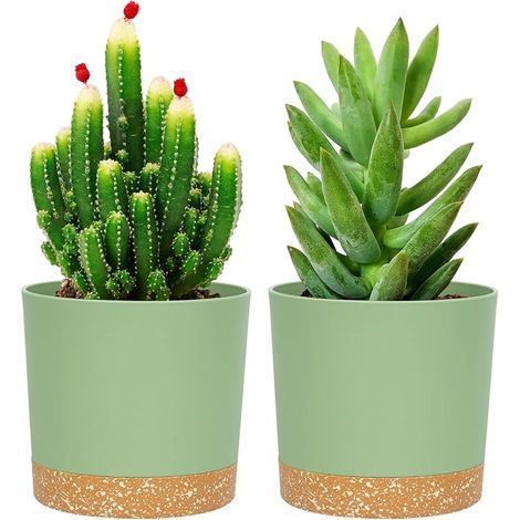 Set of 2 Indoor Flower Pots, 12.7 cm Plant Pot Cover, Plastic Indoor Flower Pots with Drainage Holes and Removable Base (Green 12.7 cm) (1/5)