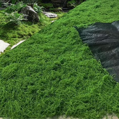 Gazon Synthetique Exterieur,Tapis De Mousse Artificielle Vert(100x100cm) Faux Gazon,Artificielle Vert Pour Decoration Murale D'Interieur,Jardin De Maison,Terrasse,Bricolage (1/5)