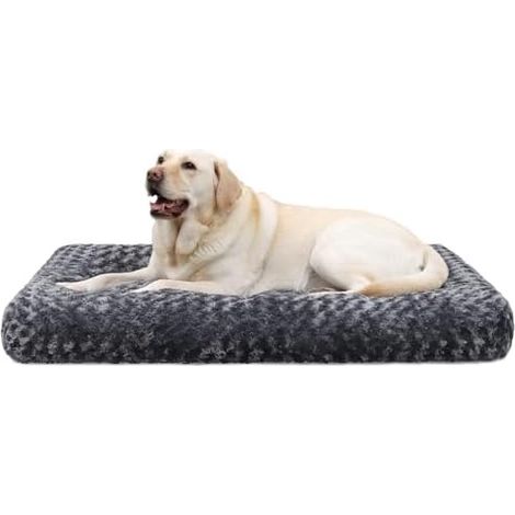 Lit Chien Grand, Lavable, Coussin Peluche, Tapis, Grand, Moyen, Confort, Rembourre, 8cm (1/5)