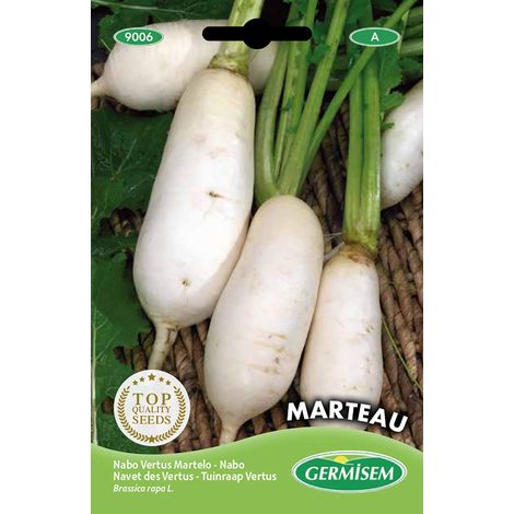 graines Navet des Vertus MARTEAU