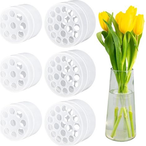 Lot de 6 supports de fleurs - En spirale - Transparent - Pour tige de fleur - Vase Ikebana - Accessoire de composition florale DIY - Ikebana Twister (1/5)