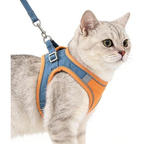 1 - Harnais Pour Chat - Laisse Réglable - Gilet Anti-Fugue Respirant - Pour Petit Chat Et Chiot Promenade Extérieur - Orange - S (1/5)