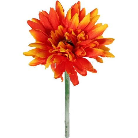 Gerbera, einfache Blüte, orange III (1/3)