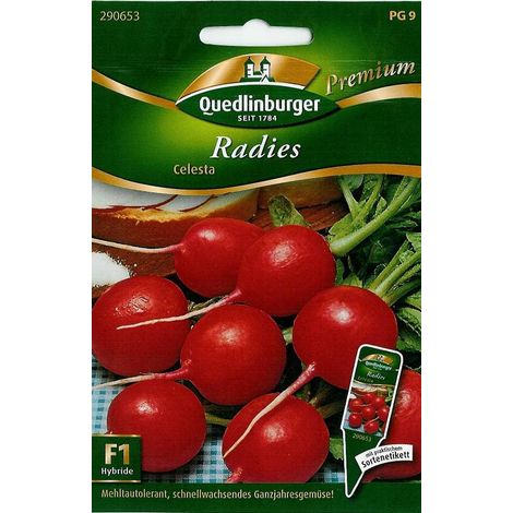Quedlinburger Radies Celesta - Gemüsesamen (1/2)