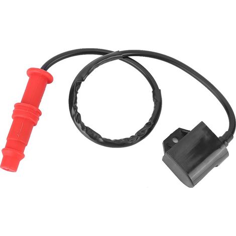 Ersatzzündspule, passend für Polaris Sportsman/Ranger 3089239 (1/5)