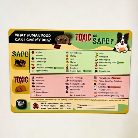 Gigante GmbH -  Aimant de réfrigérateur Oxic, aliment pour chiens, best-seller - Aimant de réfrigérateur pour aliments sains pour animaux de compagnie