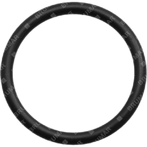 ODER-Ring für KOMPATIBLE BERTOLINI-Pumpen - 049253