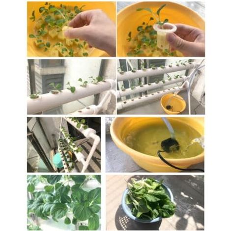 Pflanzenpflanze Hydroponic System Grow Kit 90Plant Sites Drei Layer Satz GemüSe Tool Garten Systeme Plant Vegetable Hydrokultur Hydroponische Garden Hydroponik Anbausystem PflanzpläTzen 3Schicht