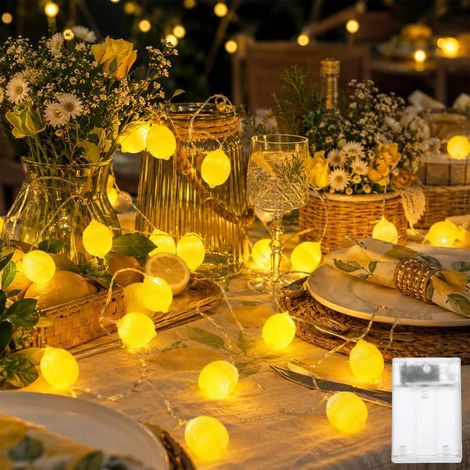 Guirlande lumineuse citron - 1,5 m - 10 LED - Citron vert - Lumière décorative pour terrasse, salon, bar, fête, mariage, jardin, décoration de Noël, intérieur et extérieur (1/5)